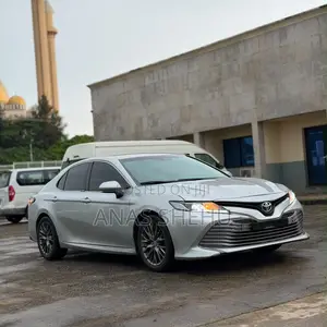 Toyota Camry LE (2.5L 4cyl 8A) 2019 Silver