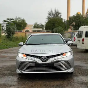 Toyota Camry LE (2.5L 4cyl 8A) 2019 Silver