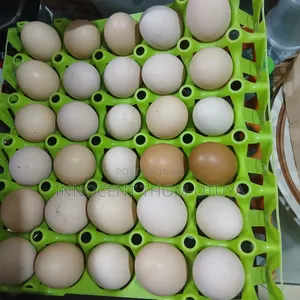 Noiler Eggs