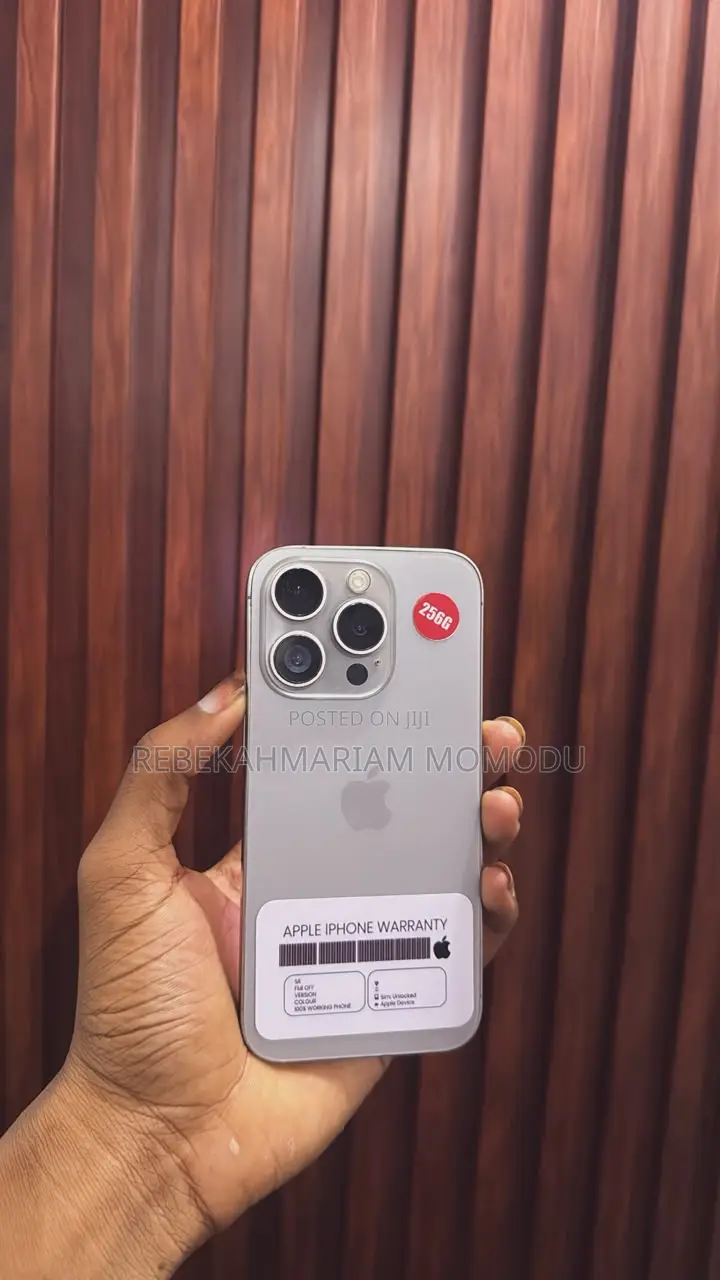 Apple iPhone 16 Pro 256 GB Gray