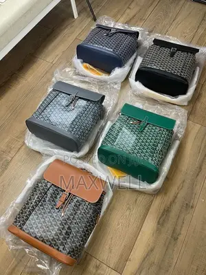 Goyard Backpack
