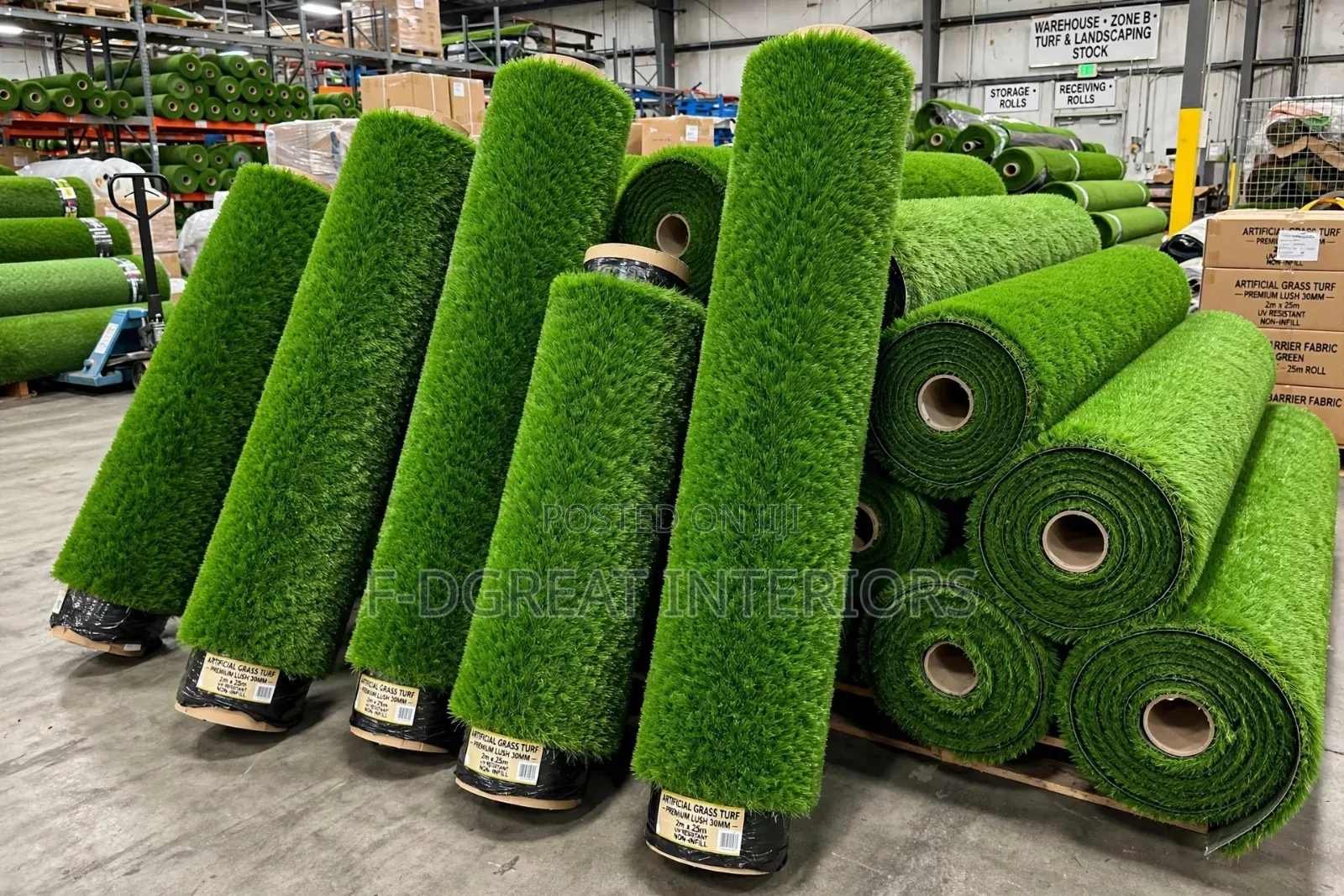 Maximum Standard Carpet Grass 