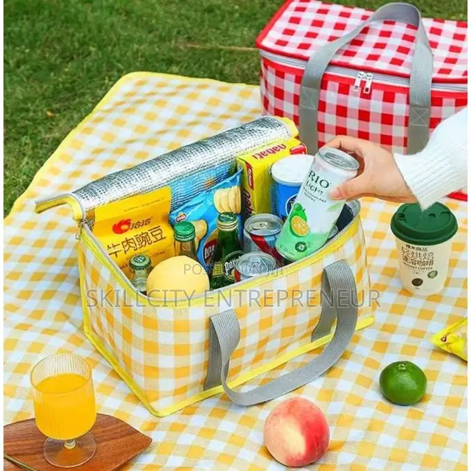 Insulated Picnic Bag