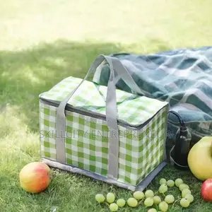 Insulated Picnic Bag