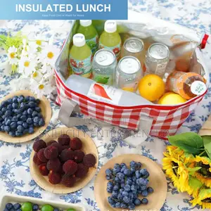 Insulated Picnic Bag