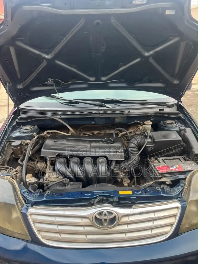 Toyota Corolla 2004 Blue