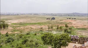 Estate Lands for Sale