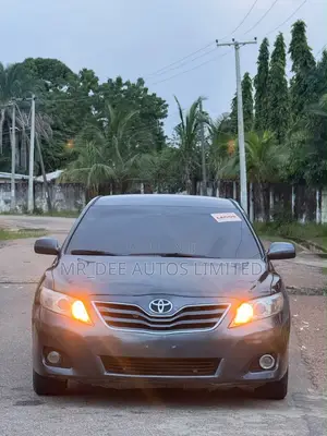 Toyota Camry 2010 Gray