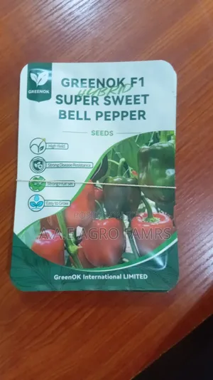 Greenok Bell Pepper F1