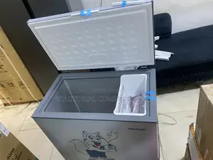 Skyrun BD-250AI 200L Inverter Chest Freezer for Home