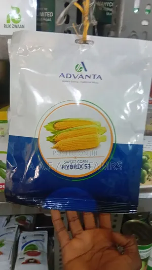 Advanta Sweet Corn