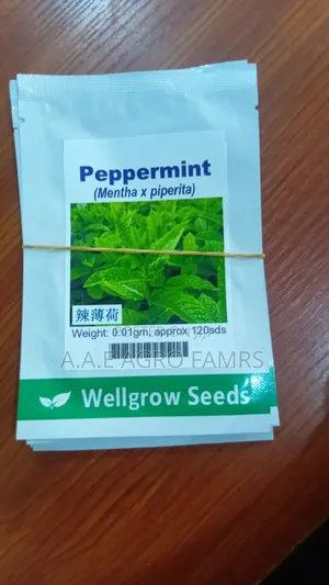 Fresh Peppermint Seeds