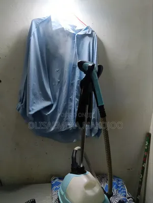 Direct UK Standing Germent Steamer