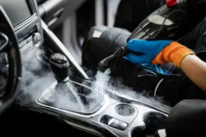 Car Interior Wash/Detailing (HOME SERVICE)