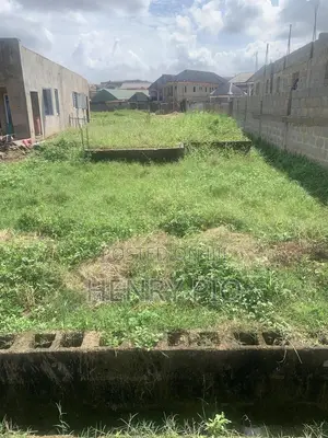 Land for Sale More Than Quarter Plot of Land