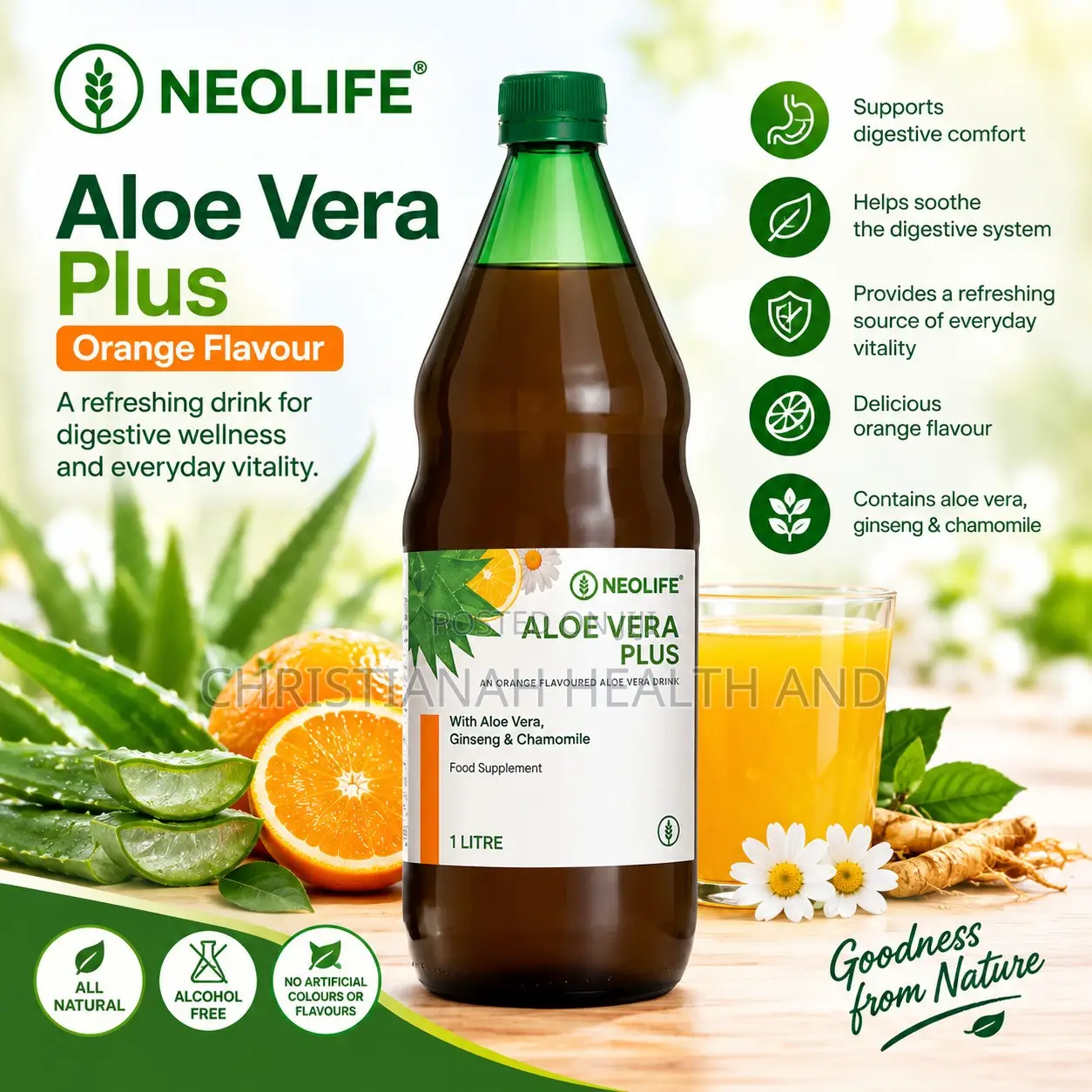 Aloe Vera Plus Orange