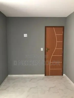 Painter Gudu