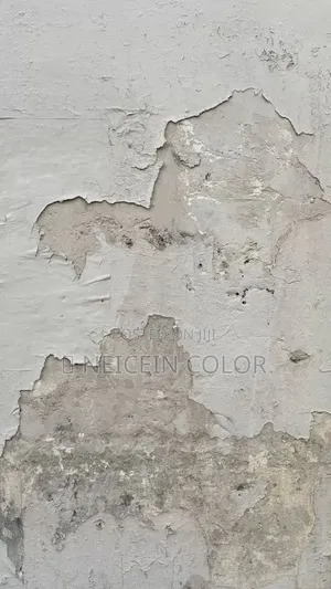 Painter Gudu