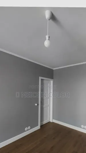 Painter Gudu