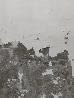 Painter Katampe