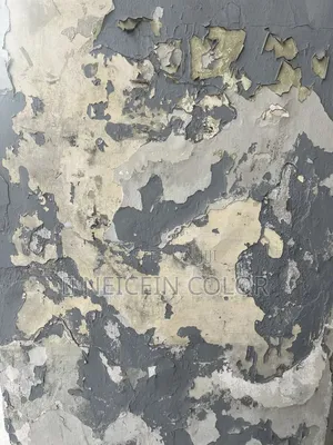 Painter Katampe