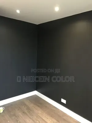 Painter Katampe