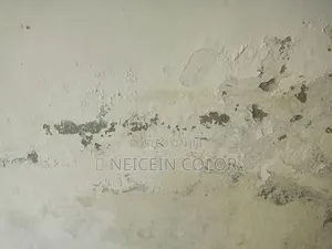 Painter Guzape District