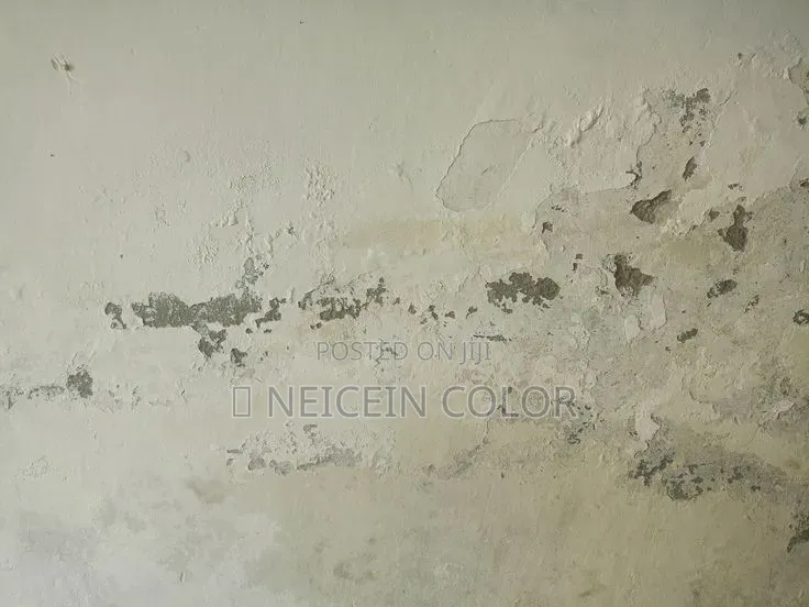 Painter Guzape District