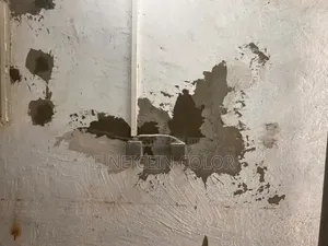 Painter Wuye