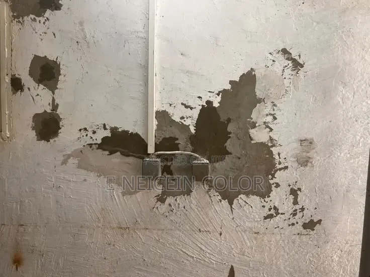 Painter Wuye