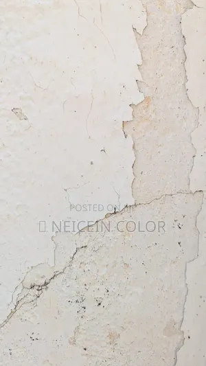 Painter Wuse 2
