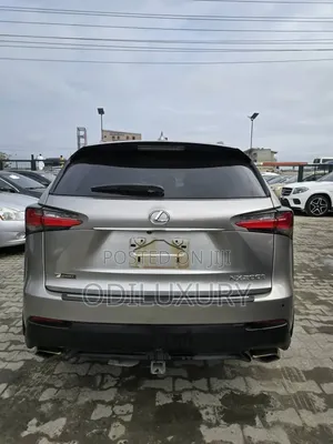 Lexus NX 200 AWD 2018 Gray