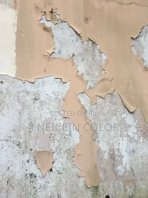 Painter Mpape