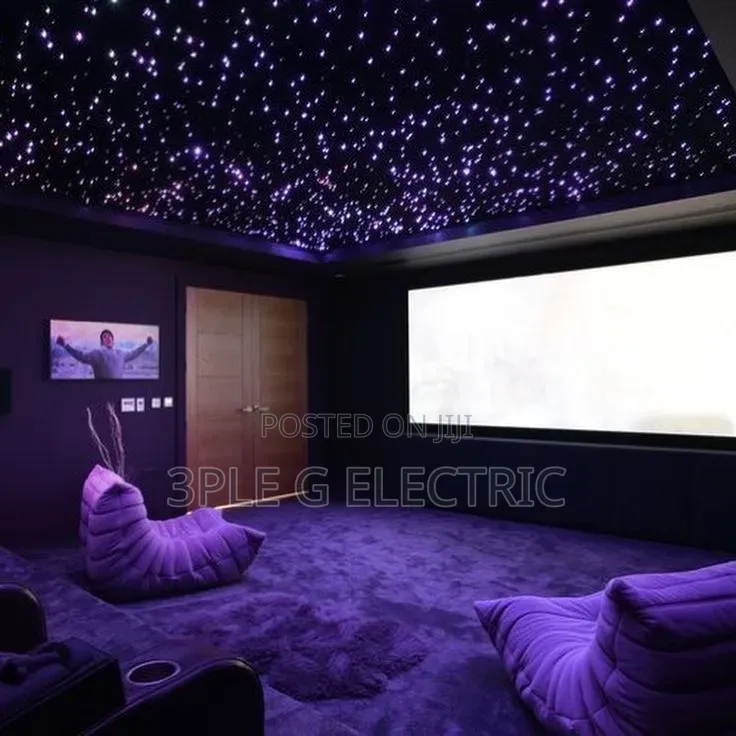 Beautiful Starry Ceiling Light for Bedrooms & Entertainment Rooms