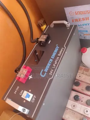 Cworth 2.5kwh 24V Lithium Battery