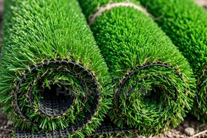 Carpet Grass Sold in SQM and Rolls