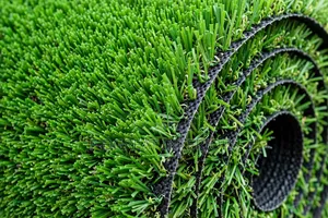 Artificial Grass Carpet, Wall Mats, Other Access