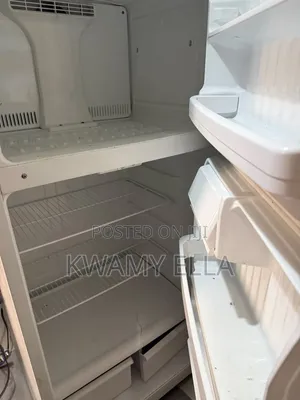 Standing Fridge