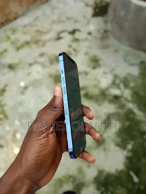 Apple iPhone 12 Pro Max 128 GB Blue