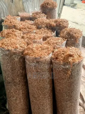 Sweet Oron Crayfish Sand Free