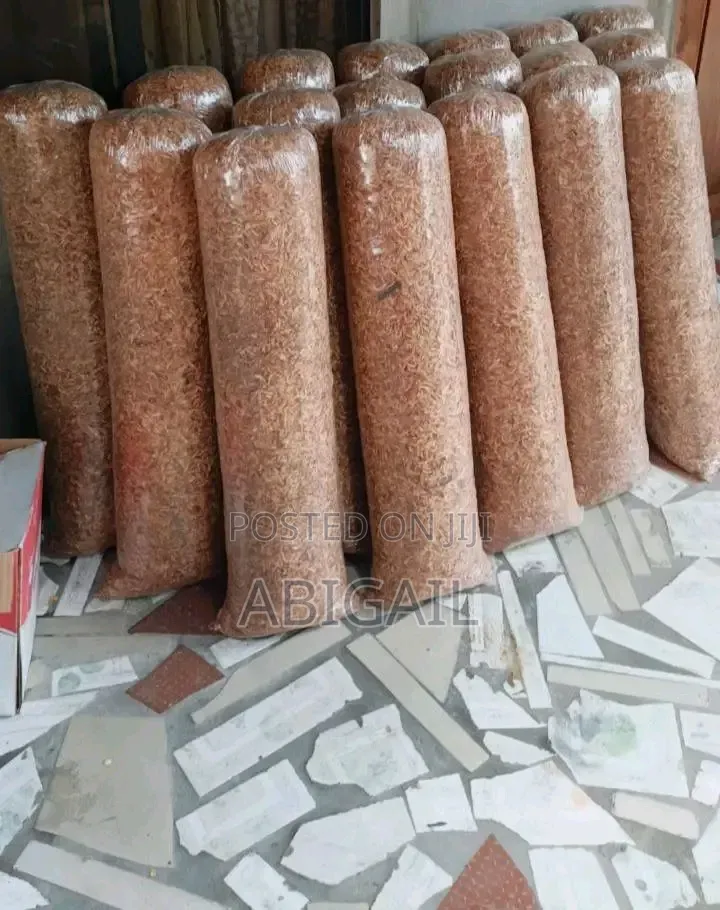 Sweet Oron Crayfish Sand Free