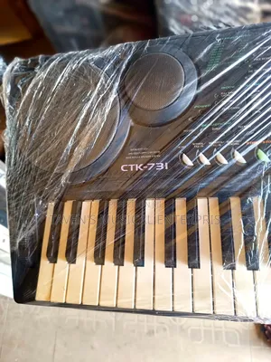 Casio CTK-731 Electronic Keyboard