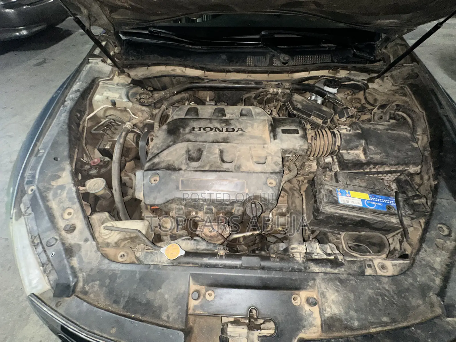 Honda Crosstour 2010 Green