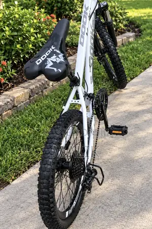 Dook Hydraulic Brakes Size 20 Bicycle for Kids and Adults