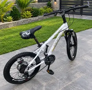 Dook Hydraulic Brakes Size 20 Bicycle for Kids and Adults