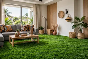 Artificial Grass Rug for Schools,event and Recreational Areas
