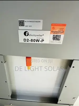 D2_80w Felicity Solar Street Lights
