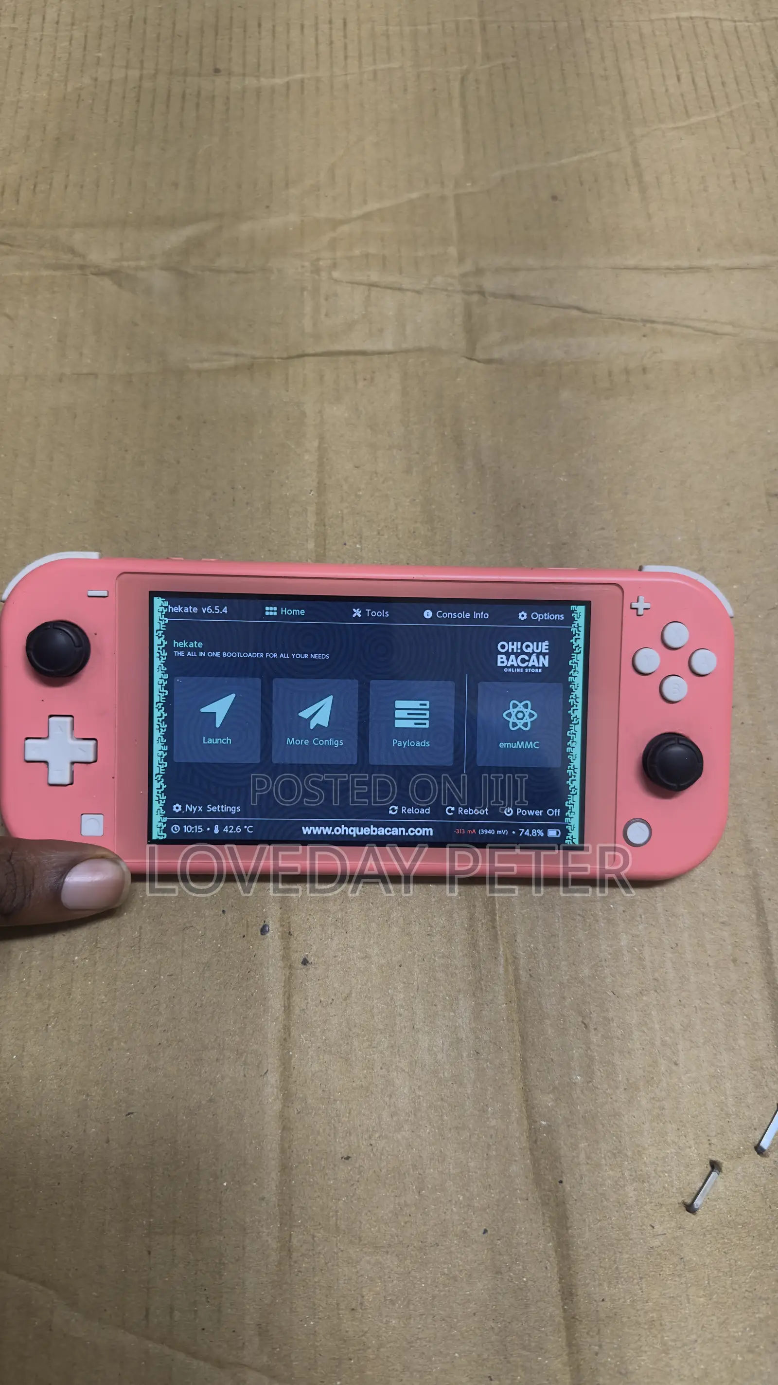 Fully Hacked Nintendo Switch Lite Supports Android and Switch OS