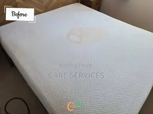 Professional Mattress / Rug Cleaning & Whitening