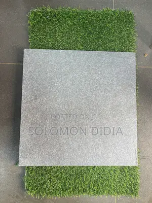 40*40 Goodwill Paving Stone for Your Compound Floor